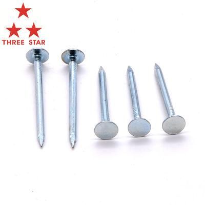 High Quality Hot Dipped Galvanized Large Flat Head Iron Nails Clout Cupper Nails