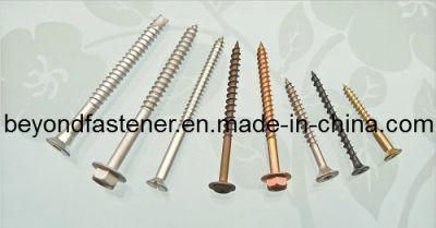 Self Tapping Screw Form B Thread Plastic Screw Cutting Point