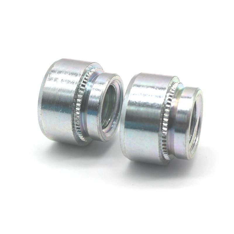 Hex Nuts, Wheel Nuts, Steel Nuts and Bolts in All Stainless