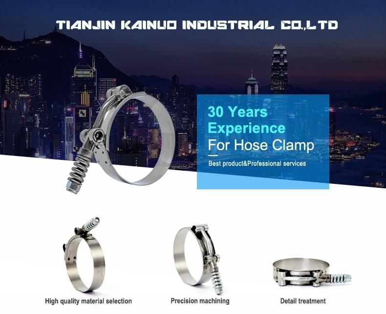 High Pressure Spring Loaded Stainless Steel Constant Tension T-Bolt Clamp for Turbo Automotive, Control Area 70-78mm