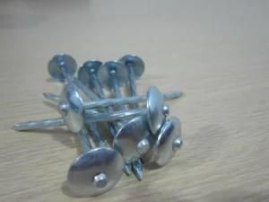 Galvanized Roofing Wire Nail