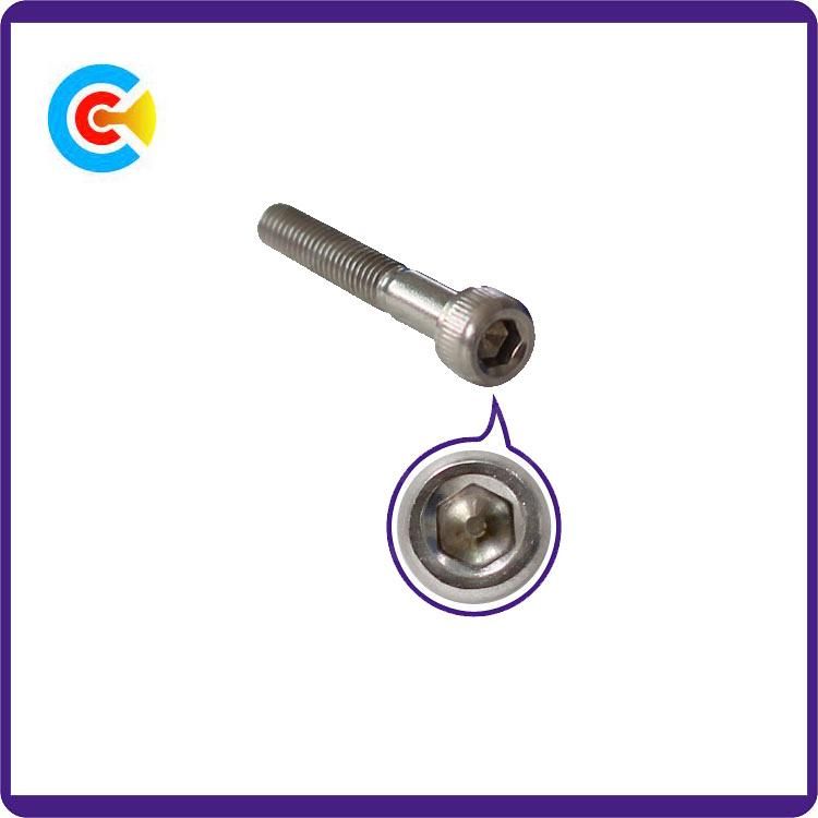 Stainless Steel M12/Hexagon Socket Knurled Cheese Head Cap Screw