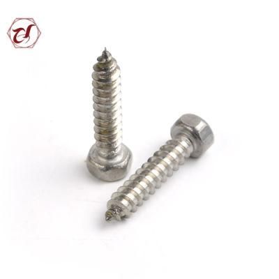 Stainless Steel A2 A4 Hex Head Tapping 304 Screw