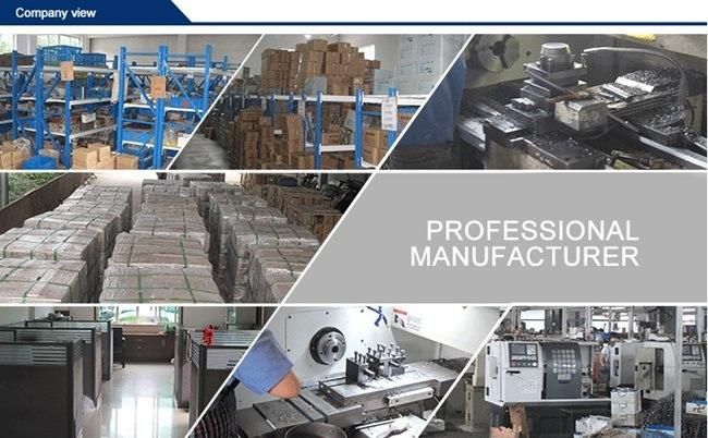 SAE 100 R7 Carbon Steel Hydraulic Hose Ferrule Fitting and Galvanized Pipe Fittings