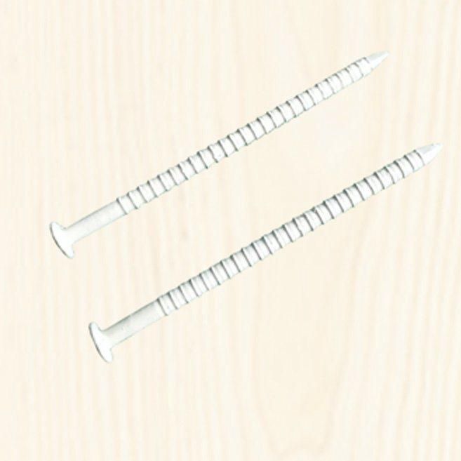 Painted Annular Ring Shank Nails