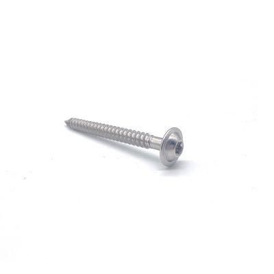 Hot Sales Stainless Steel 304 Screw of Pan Head Washer Cutting and Flat Tail Self Tapping Screw