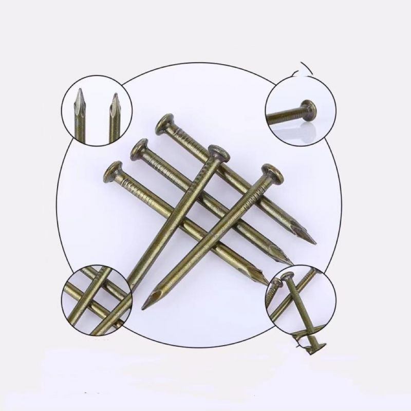 Paint Concrete Nail/Masonry Nail/Steel Nail/Hardened Steel Nail/Hardened Nail/Nail