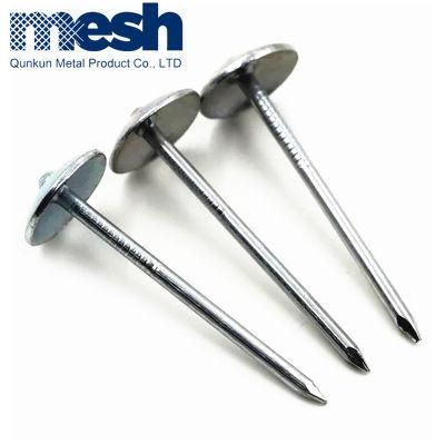 Zinc Plated Umbrella Head Roofing Nail for Africa Market