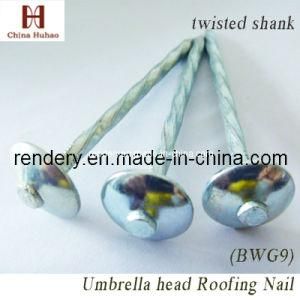 Screw/Galvanized Twisted Shank Umbrella Roofing Nail
