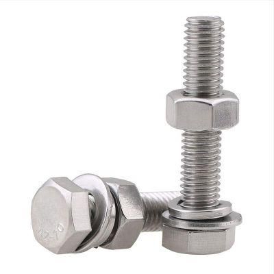 Stainless Steel Wheel Track Shoe Hex Self Drilling SS304 316 Bolt Nuts with Washers