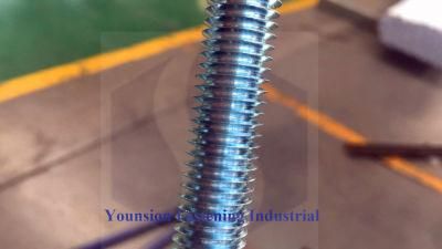 ANSI Shining Zinc Plating Thread Rod in 2 Grade