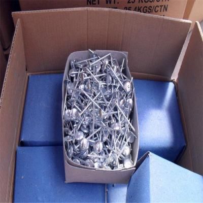Asbestos Tile Nail Corrugated Nail Big Head Nail Color Steel Tile Nail