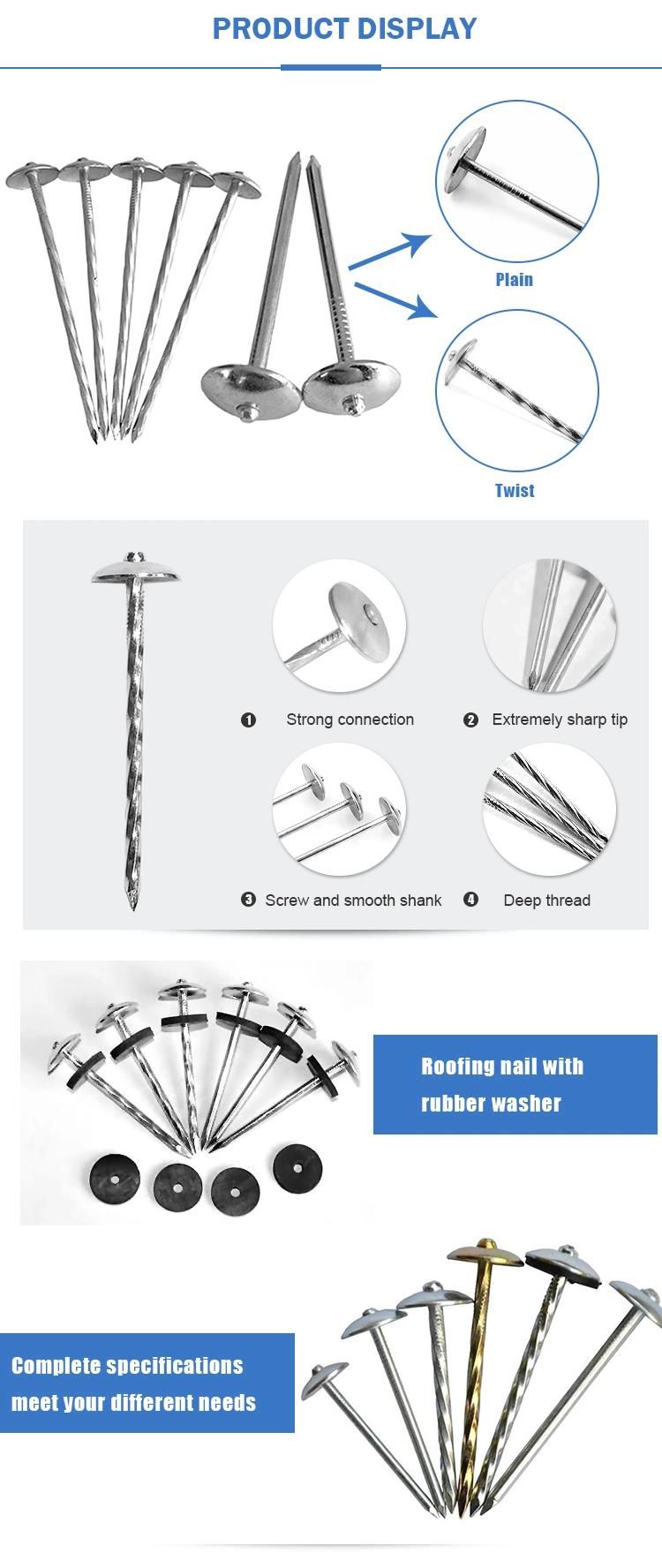 Galvanized Umbrella Roofing Nails 2inches Bwg12