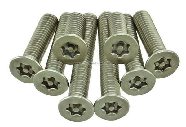 Torx Csk Head Security Machine Screw with Pin