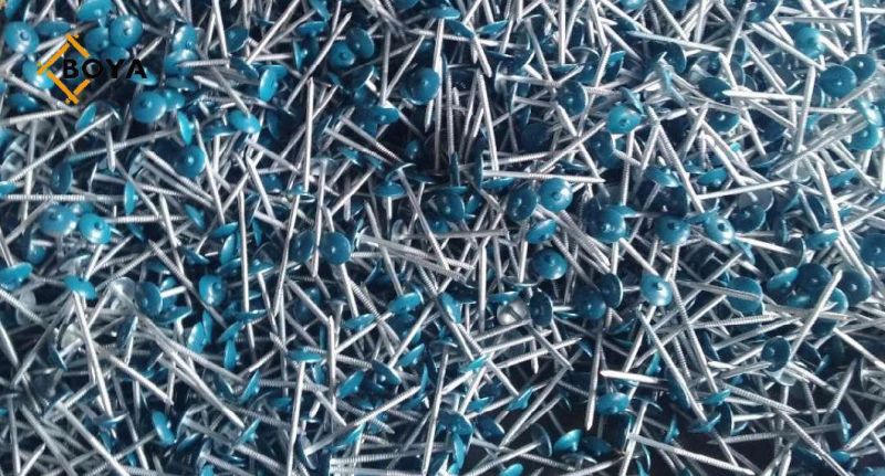 Good Quality Galvanized Umbrealla Head Roofing Nails Made in China