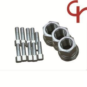 Auto Parts Wheel Nuts /Female Head /Male Head/ Carbon Steel/ SS304