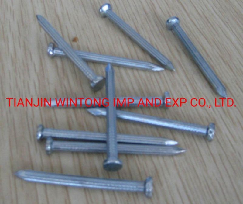 Concrete Nails Multi-Specification Steel Nails/Galvanized Concrete Nails