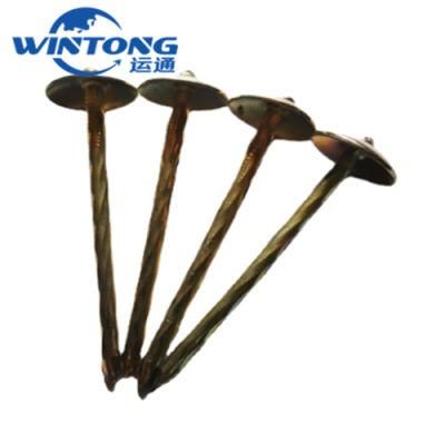 Color Steel Tile with Color Roofing Nails