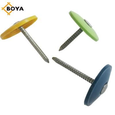 Bwg 9/Bwg10 Factory Direct Perfect Quality Electric Galvanized Plastic Head Roofing Nail
