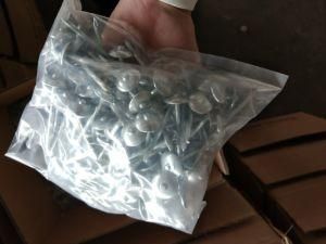 Galvanized Roofing Nail 1kg Packing