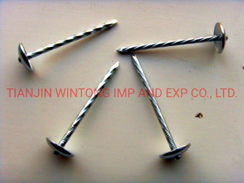 Galvanized Roofing Nails with Umbrella Head