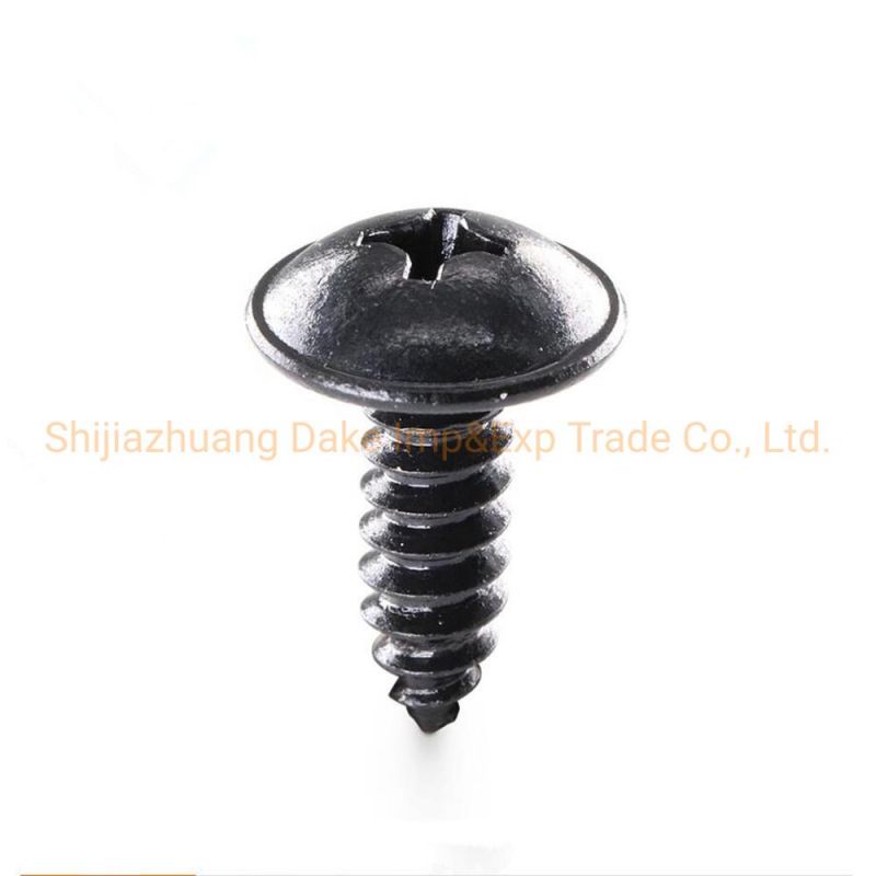 Car Clips/Auto Parts Stainless Steel Start Self Tapping Metal Screw Pan Socket Head