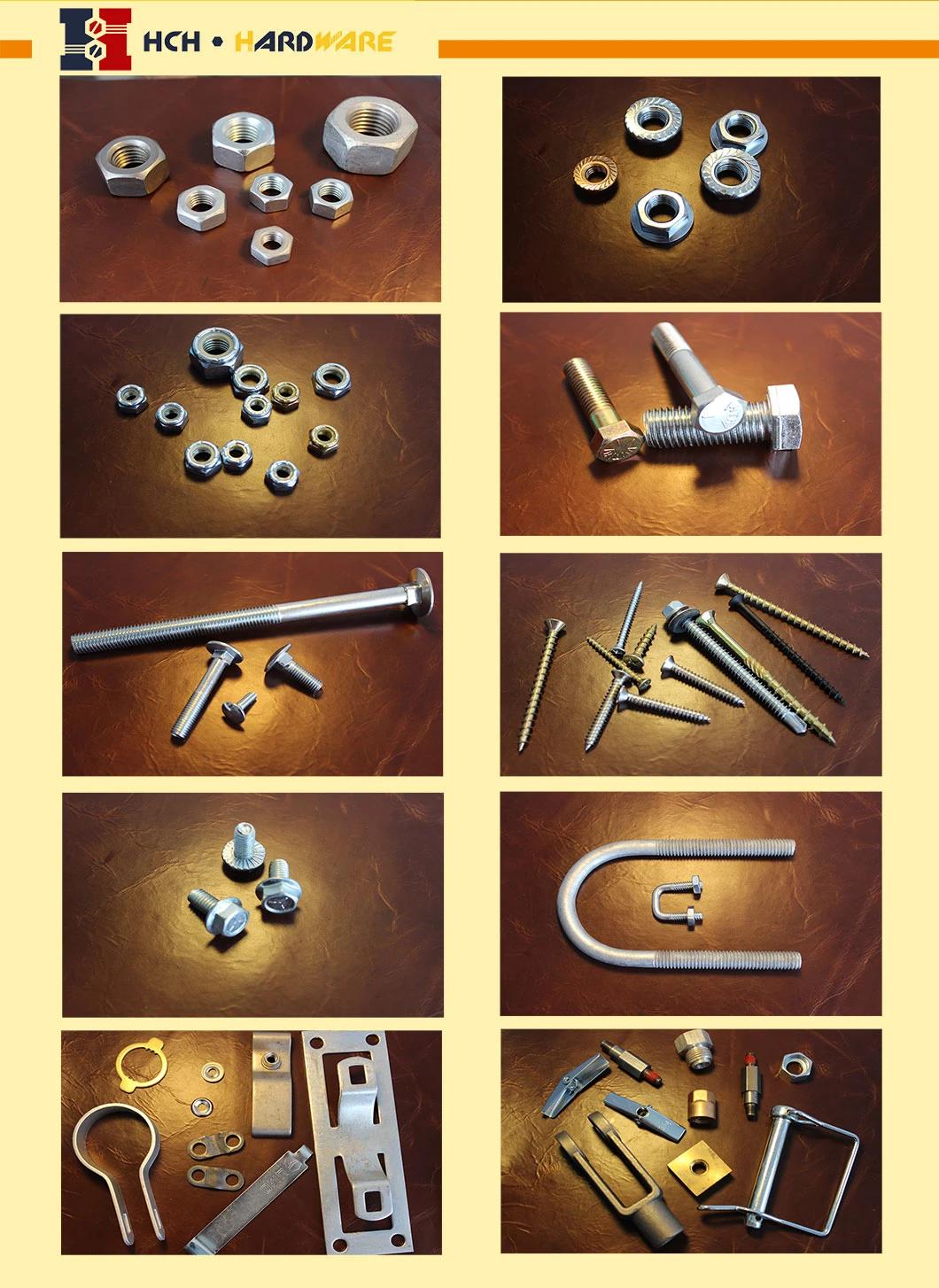 Hex Hexagon Head Cap Machine Screws Flat and Lock Washers Hex Head Cap Machine Screws Bolts
