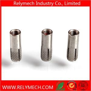 Stainless Steel Drop in Expansion Anchor Bolt