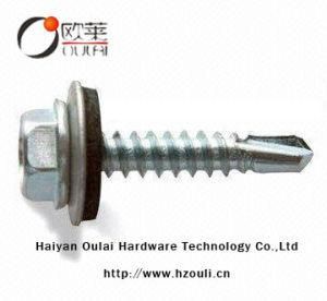 Hex Head Screw with Zinc Plated 8# *1&prime;&prime;, 1 1/2, 2&prime;&prime;, Good Quality Screw