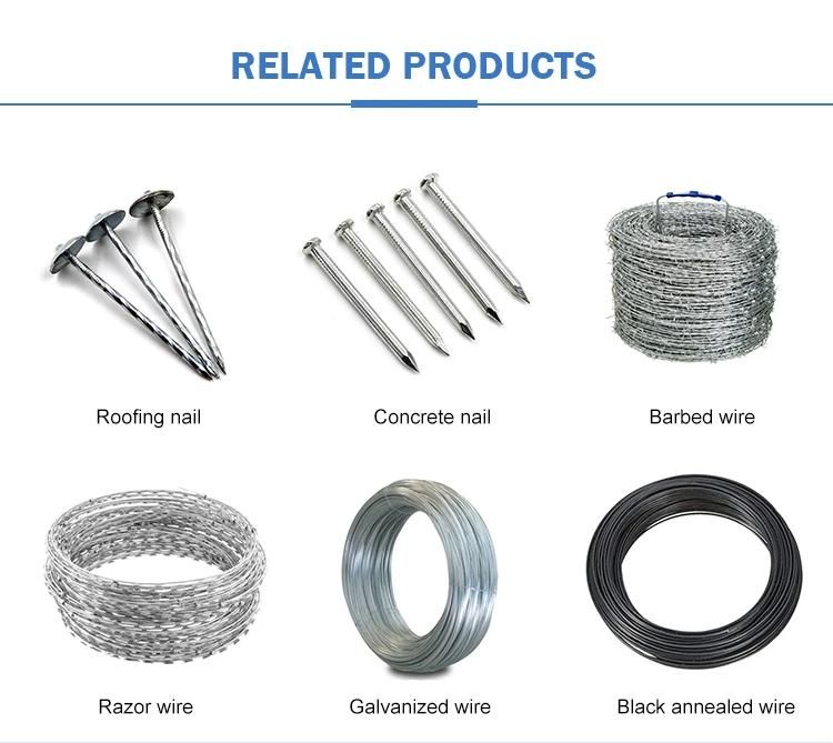 Q195 Iron Wire Common Nail with Factory Price