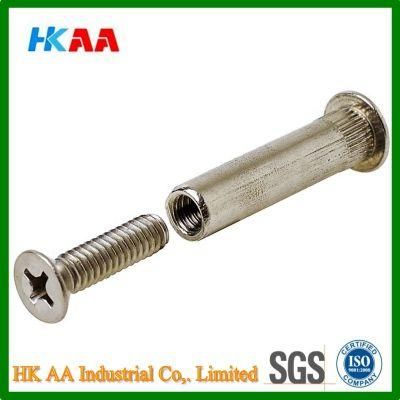 Stainless Steel Sex Bolt (barrel bolt / Chicago screw) and Screw