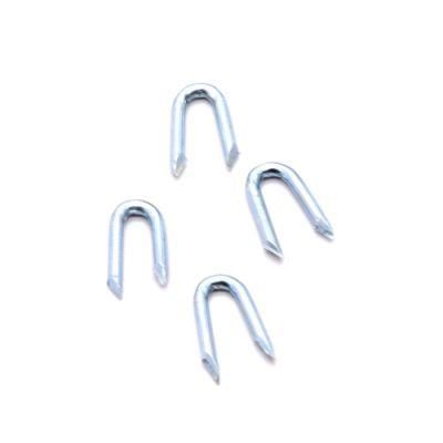 Thailand Laos Vietnam Philippines Singapore Market/Galvanized U Shape Nails/ U Staples
