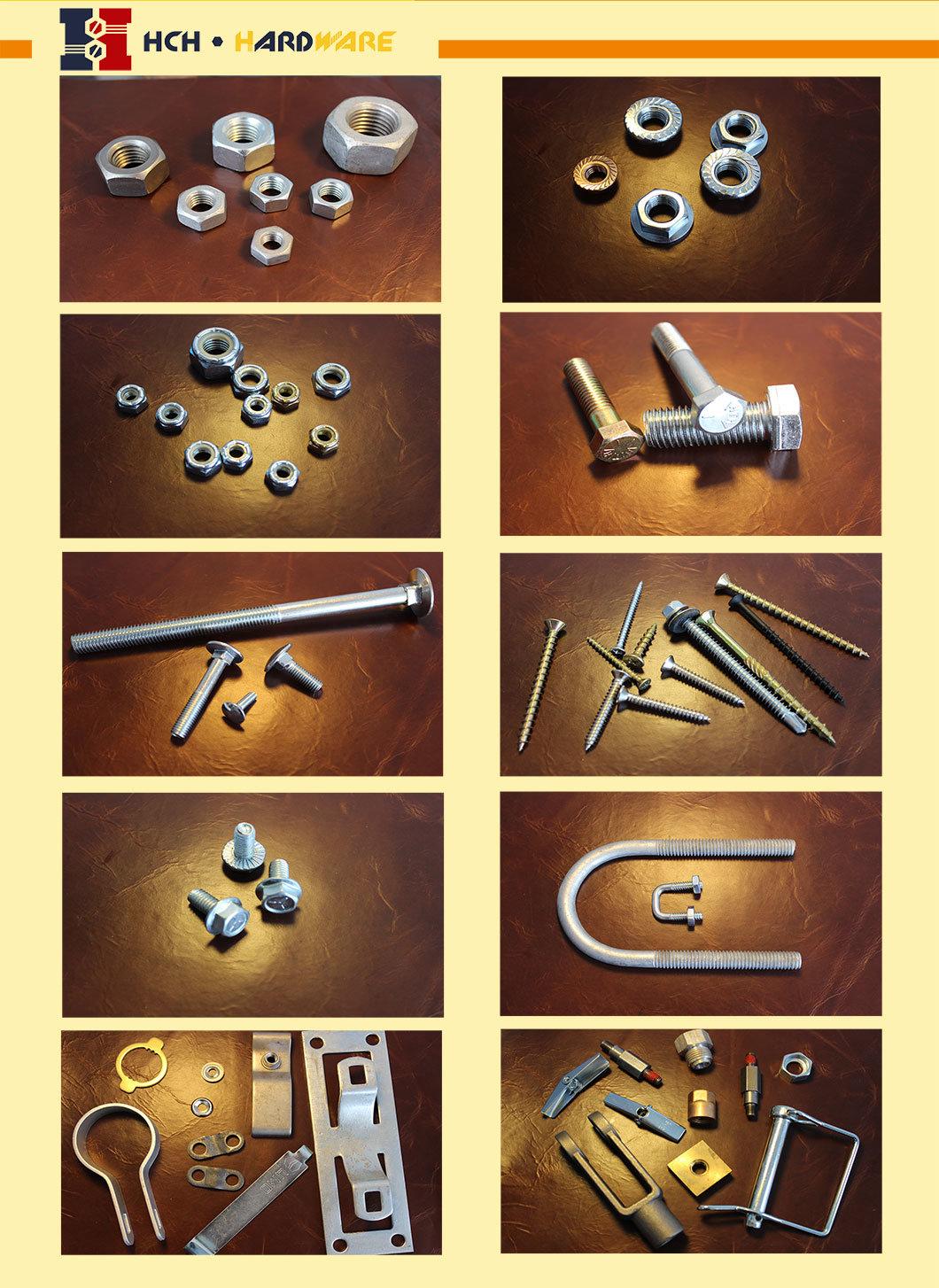 Fully Machine Threaded Stainless Steel 304/316 Carriage Bolt