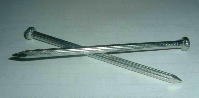Concrete Nail/Galvanized Roofing Nail