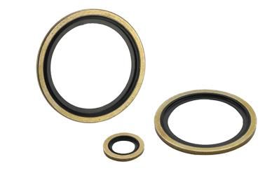 S316/S304 Stainless Steel Bonded Seal in Viton Material