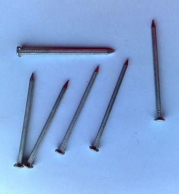 Boat Construction Square Shank Boat Nail