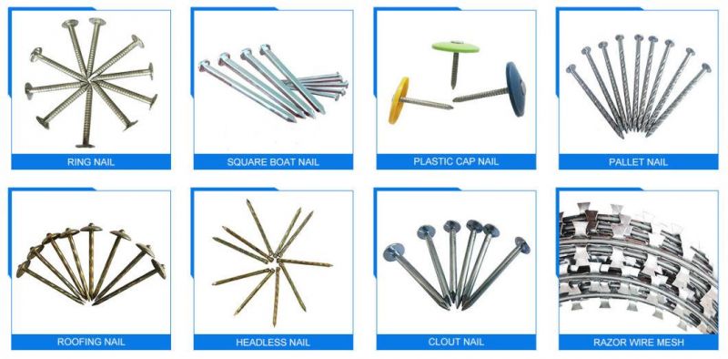 China Hot Sale Carbon Steel Material Steel Cut Masonry Nails 2-1/2" 6D with Competitive Price