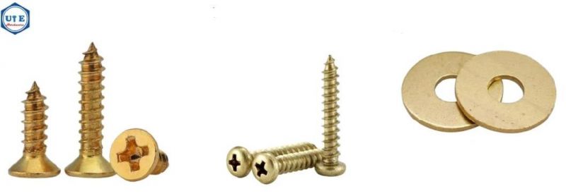 Brass Fasteners Machine Screw/Self Tapping Screw/Brass Hex Bolt and Nut/Hex Nuts/Brass Cap Nut/Flat Washer/Hex Bolt and Nut/Brass Wood Screw/Set Screw