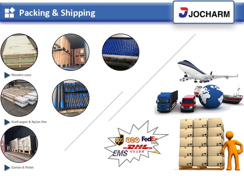 Grade 4.8 5.8 6.8 8.8 10.9 Thread Hex Head Bolts with Nut for Machine