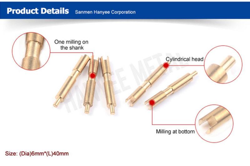 Our Factories 20 Years′ Experience Direct Factory Prices Building Hardware Conveyor Fastener