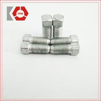 High Quality Glavanized Square Head Bolts with Carbon Steel