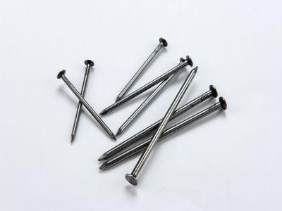 Q235 Common Iron Nail for Building Use