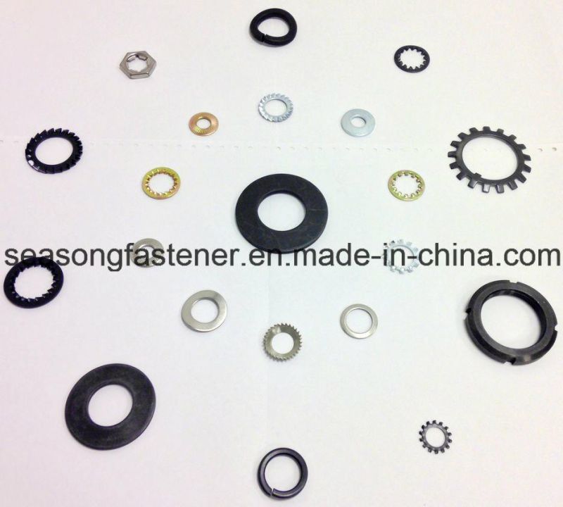 Stainless Steel Lock Washer / Tooth Washer (DIN6797)