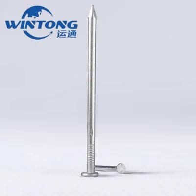Hot Sale Galvanized Concrete Steel Nail China Factory