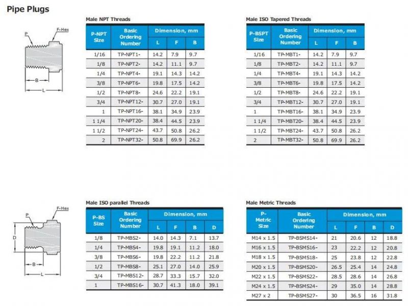 Hikelok Stainless Steel Pipe Plug Pipe Fitting