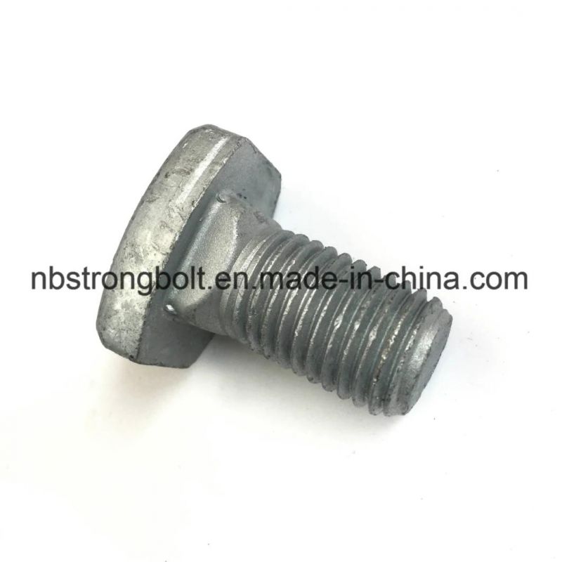 Square Head Bolt Screw Customization/Custmized Square Bolt