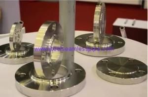 Steel Flange, Swivel-Ring, Asme B16.5, API 6A, API 17D, Mss Sp-44, A694 F52 to F65, A350 Lf2, AISI 4130, A182 F51&F53