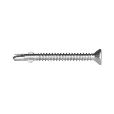 Custom Stainless Steel Torx Head Wing Self-Drilling Screw