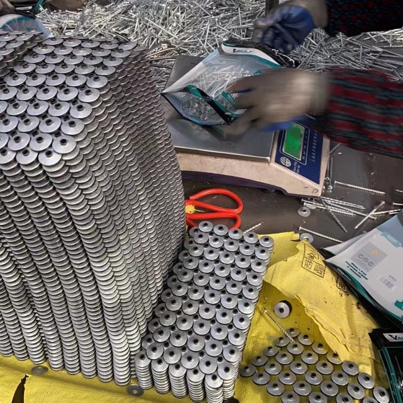 Electrol Galvanized Roofing Screw with Washer (South Africa)
