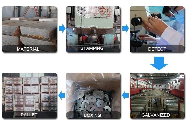 Good Quality Stainless Steel 304 316 DIN6798V Tooth Washer Countersunk External Toothed Lock Washers